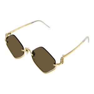 lunette gucci_gg1604s